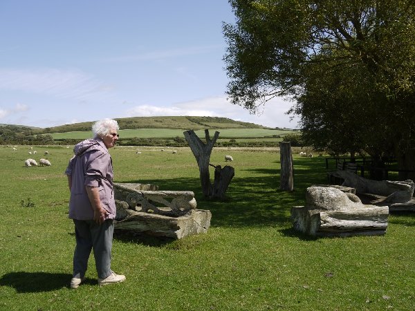 Abbotsbury Swannery 2.jpg