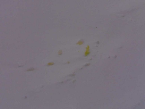 andsnow_06.jpg