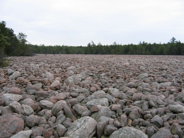 boulder field.jpg