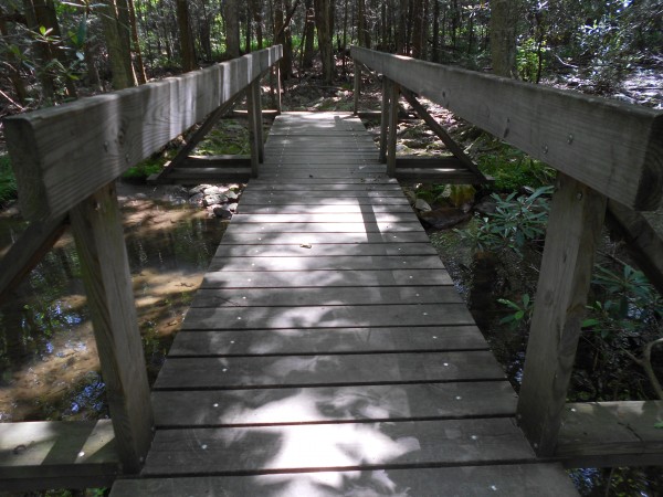DSCN1214.JPG