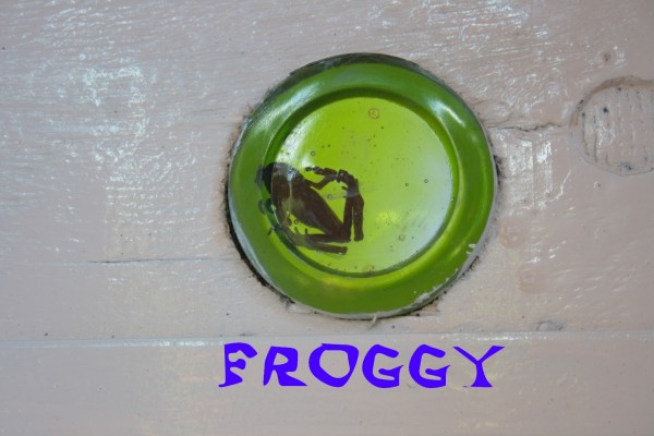 FROGGY.jpg