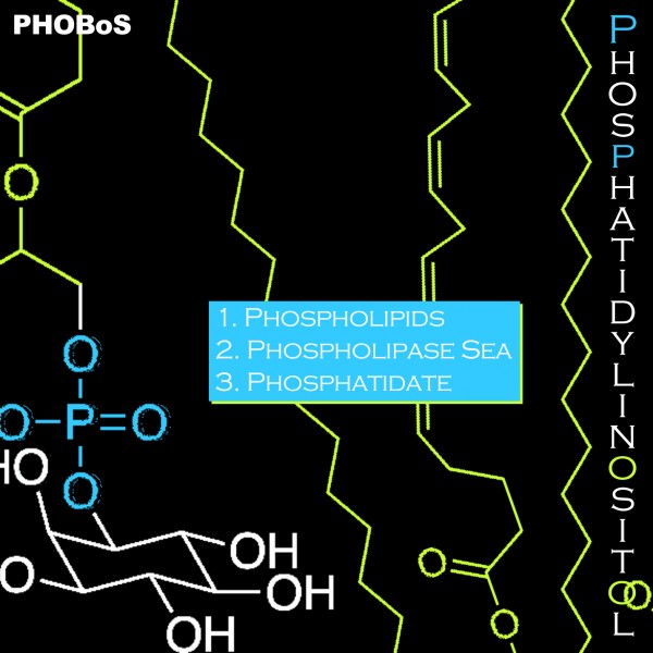 Phosphatidylinositol - Cover Art.jpg