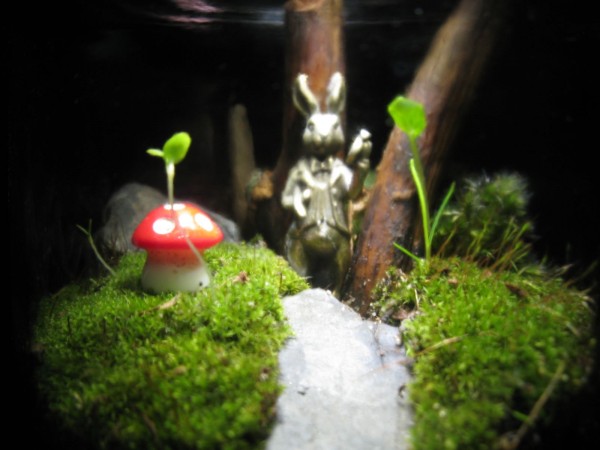 Terrarium - A Very Important Date - 04.jpg