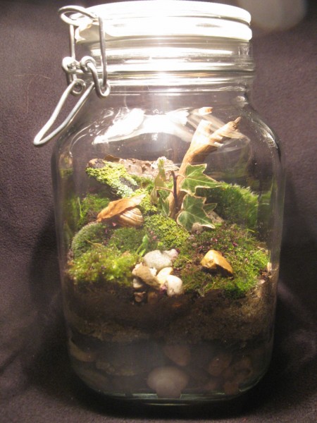 Terrarium - Woodland 1 - 01.jpg