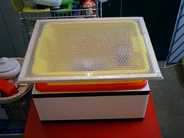 TiT incubator - 08.jpg