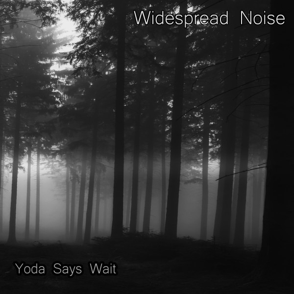 Yoda Says Wait cover.jpg