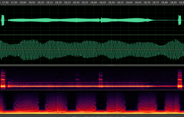 zim3to1Waves.png