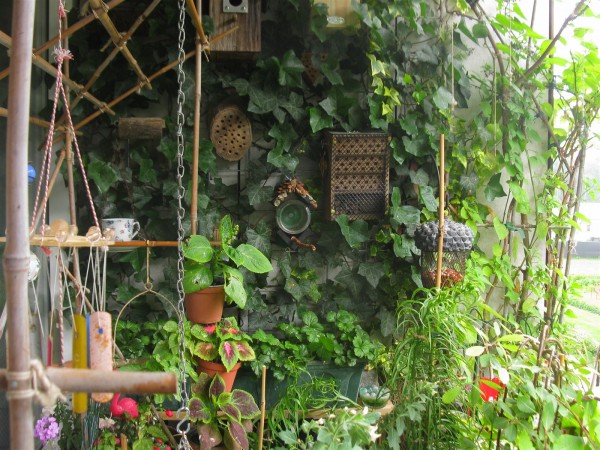 20250607 - balcony - 52.jpg