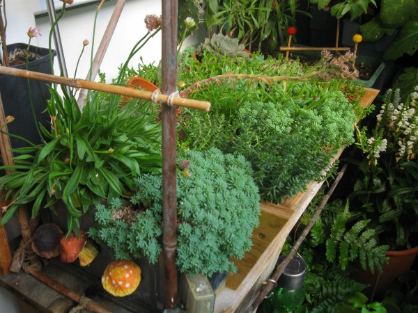 20250801 - balcony - 86.jpg