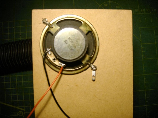 snailis spiralis - 03.jpg