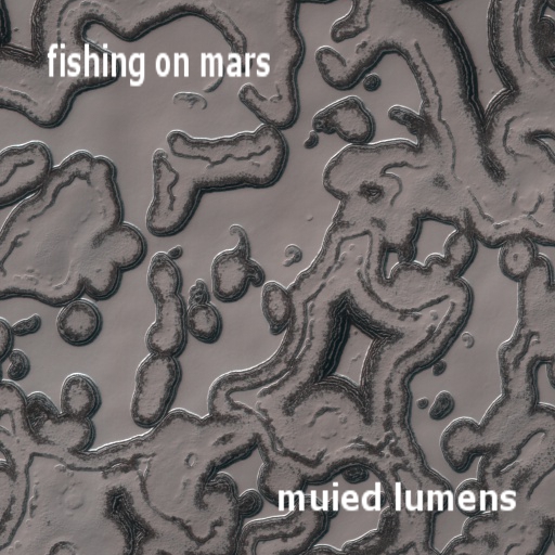 bumpmars.jpg