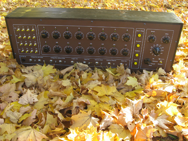 dylan-seq-leafs.jpg