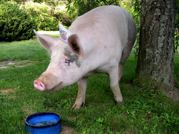 More Beer Please.jpg