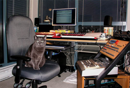 Studio kat.jpg