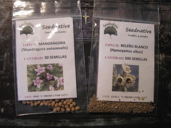 20200226 - Mandragora and Hyoscyamus seeds - 01.jpg
