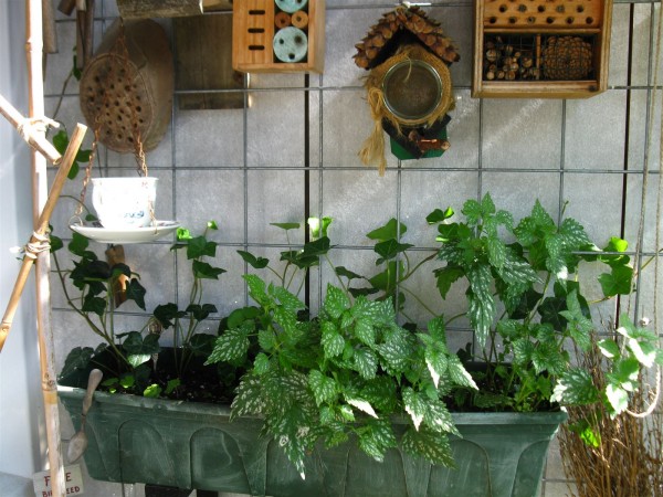 20210628 - wallplanter - 01.jpg