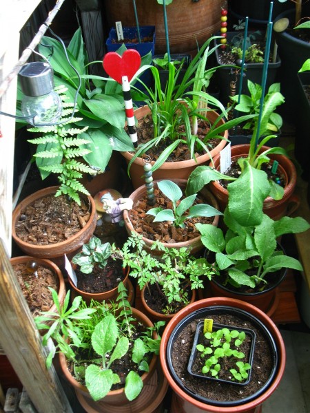 20230528 - balcony - 15.jpg