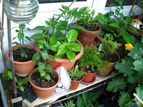 20230528 - balcony - 19.jpg