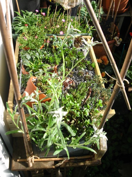 20240511 - balcony - 17.jpg