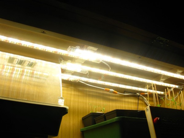 20250307 - growcabinet - 01.jpg