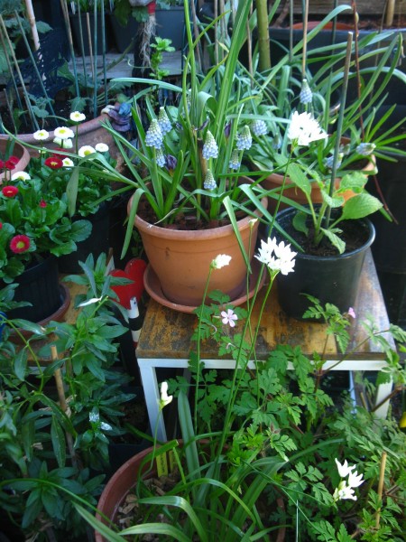 20250404 - balcony - 08.jpg