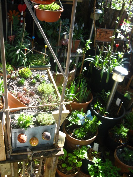 20250407 - balcony - 13.jpg