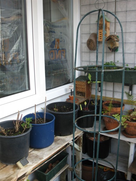 balcony 2020 - 10.jpg