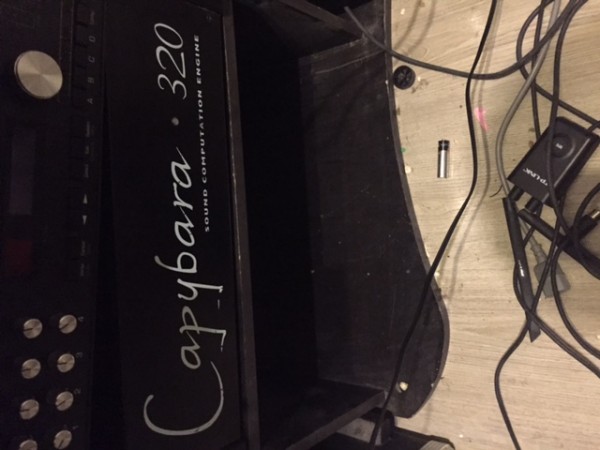capy 320 2.JPG