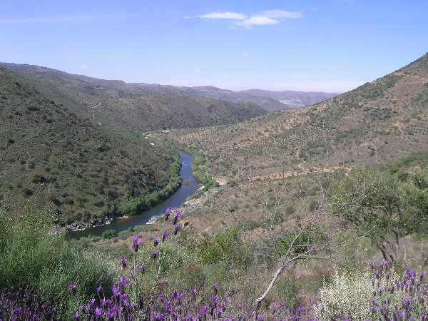 DSCN0671.JPG