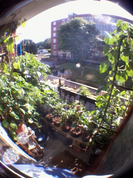 fisheye view - 02.jpg