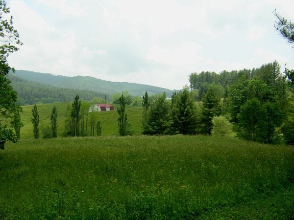 pastures barn view small.jpg
